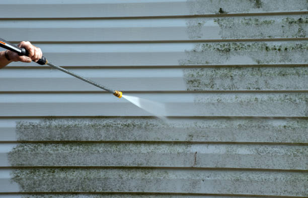 Best Attic Mold Removal  in Hemby Bridge, NC