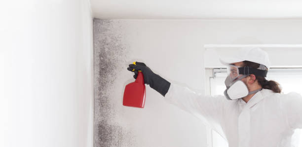 Best Mold Testing  in Hemby Bridge, NC