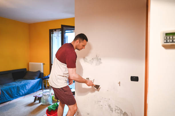 Best Mold Removal and Inspection  in Hemby Bridge, NC