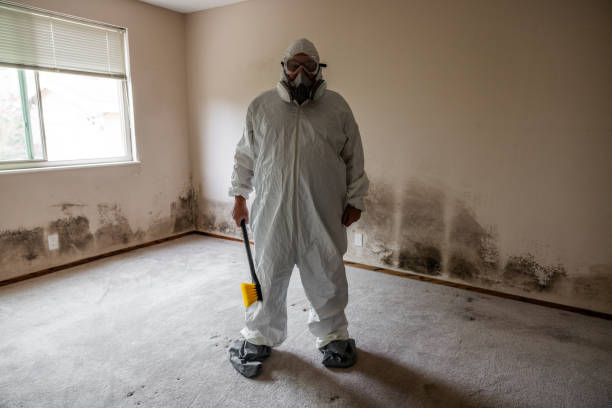 Best Professional Mold Removal  in Hemby Bridge, NC